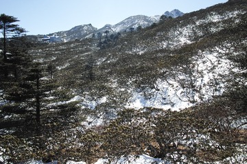DP1Q0310