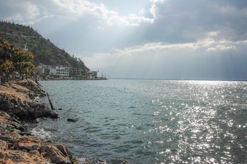 DP1Q0486-1