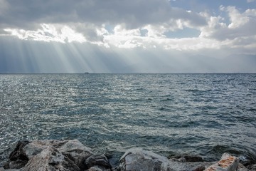 DP1Q0497-1