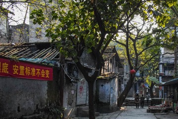 DP1Q0058-1-2