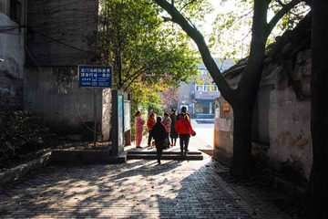 DP1Q0068-1-2