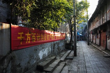 DP1Q0073-1-2