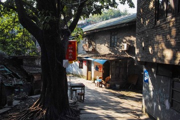 DP1Q0081-1