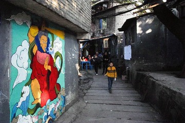 DP1Q0082-1