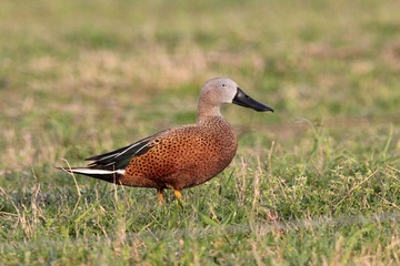 IMG_1266_