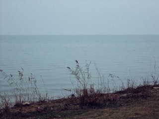 647803