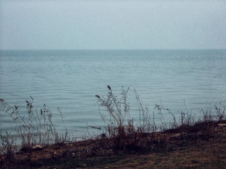 647804