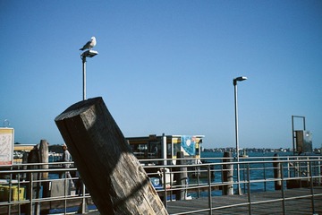 B983D37A-42D0-4B39-B041-B172D2069C06/L0/001