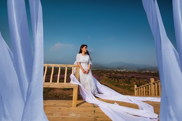 DSC_0081-