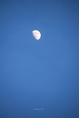 5D66AB45-2007-4318-82B8-DB6C63FB0CC4/L0/001