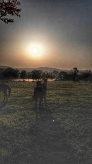 IMG_20160428_062346-01