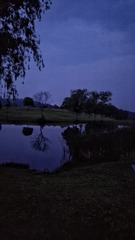 IMG_20160425_191726-01
