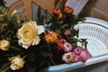 D99891FB-8B6D-4DEF-BFEA-4EB3D50F5089/L0/001
