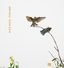001