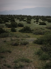 DSCF7673