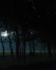 DSCF0885