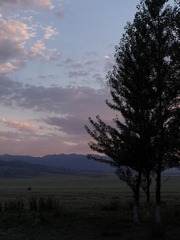 DSCF1343