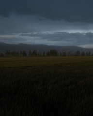 DSCF0525