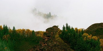 11DSC05831