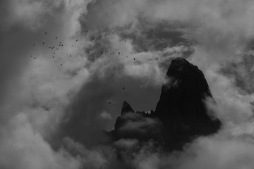 021