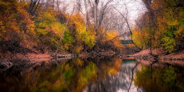 20201114-_DSC6663-Edit-Edit-Edit-Edit