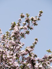 A058665C-0BE5-4951-8DD0-CE489AC367E7/L0/001