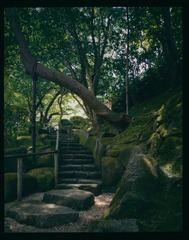 「 镰仓 報国寺 」