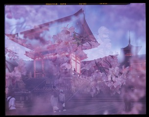 「 大画幅 清水寺&樱花 」