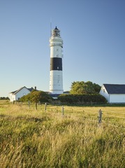 P1010212