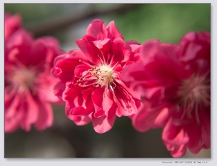 P1020692_