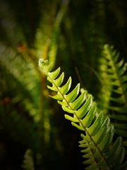 P1020849
