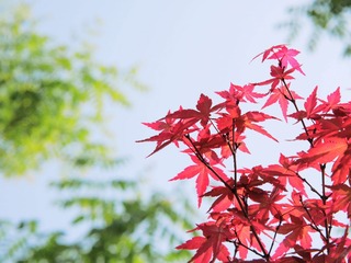 P1020838_