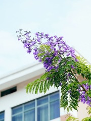 P1010834