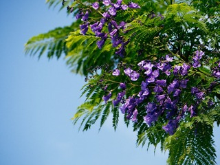 P1010822_1