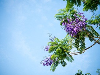 P1010837