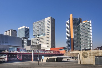 P1030446