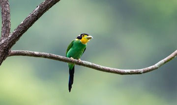 Y66A6610_