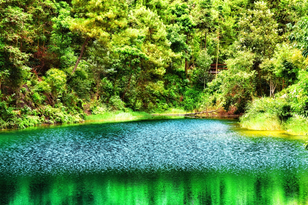 重庆市九龙坡区金凤镇九凤山景区九凤瑶池