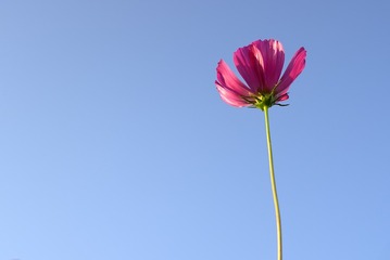 5753