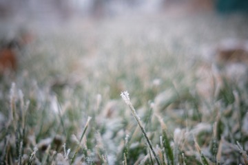 DSCF7184 1