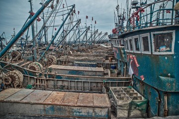 IMG_0922-2