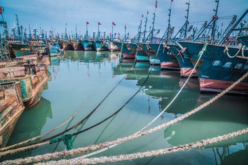 IMG_0951-2