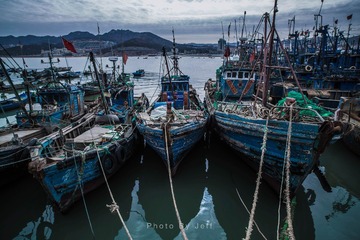 IMG_1006-2