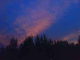 1485293
