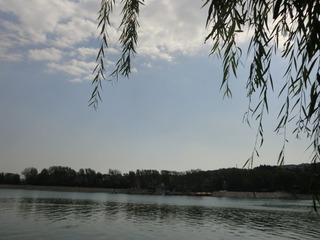 8558E6B3-D79E-4207-8902-6A1AE15B7157/L0/001