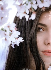 花见