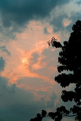 D6D27895-73E4-45DA-8AB8-AD0D1F5D3EDA/L0/001