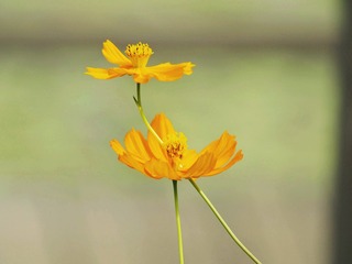 108186