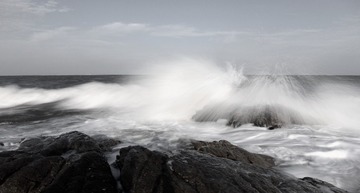 _DSC8841_
