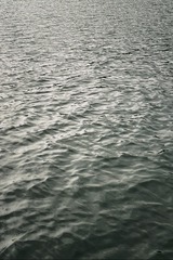 1000126156